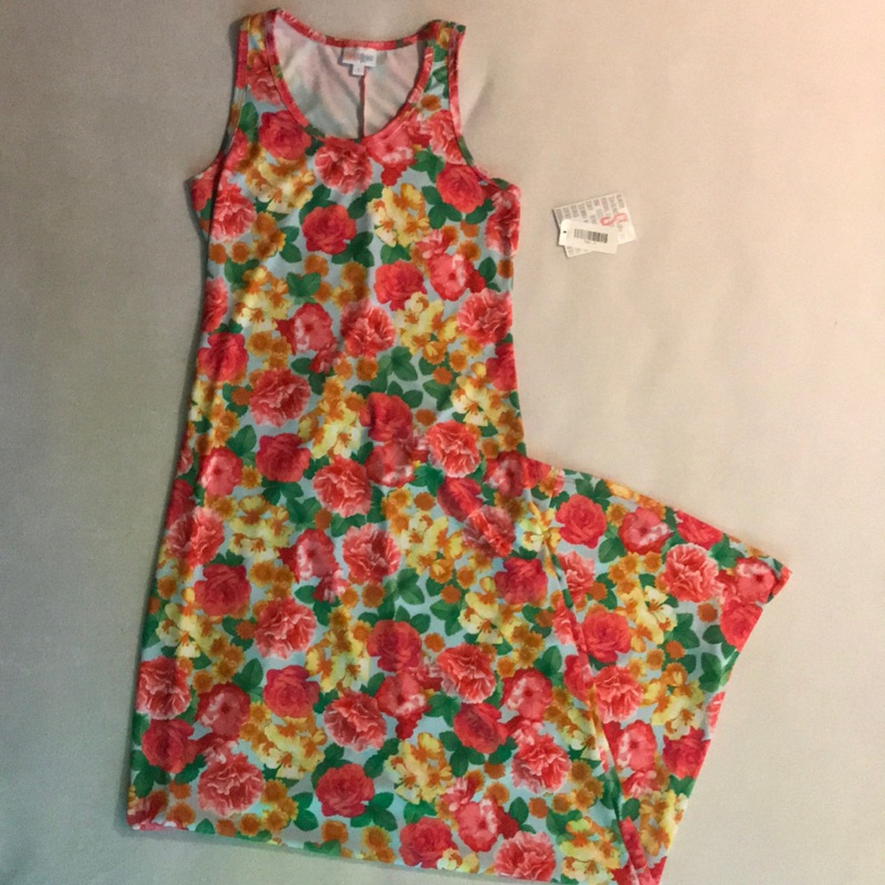 NWT Lularoe Floral Dani Maxi Dress